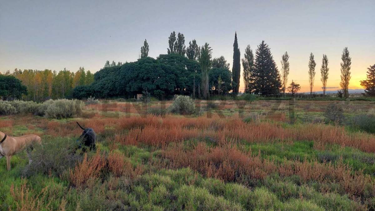Foto de LOTE EN VENTA EN EL CERRITO - SAN RAFAEL, imagen 5