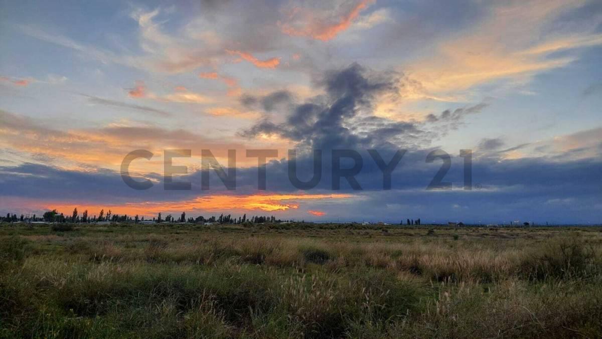 Foto de LOTE EN VENTA EN EL CERRITO - SAN RAFAEL, imagen 3