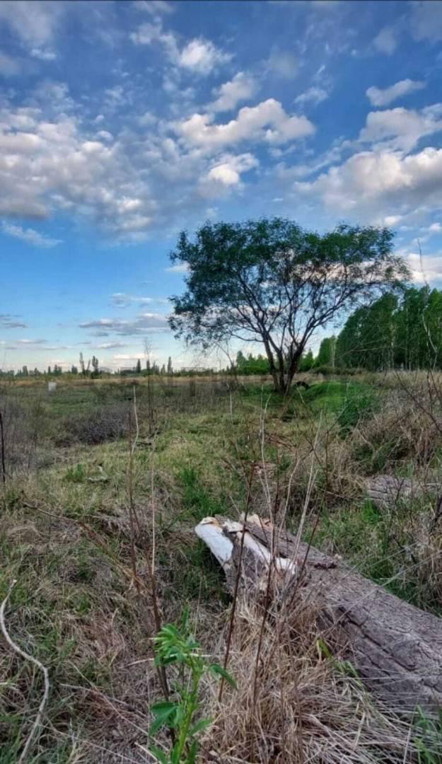 Foto de LOTE EN VENTA EN EL CERRITO - SAN RAFAEL, imagen 4