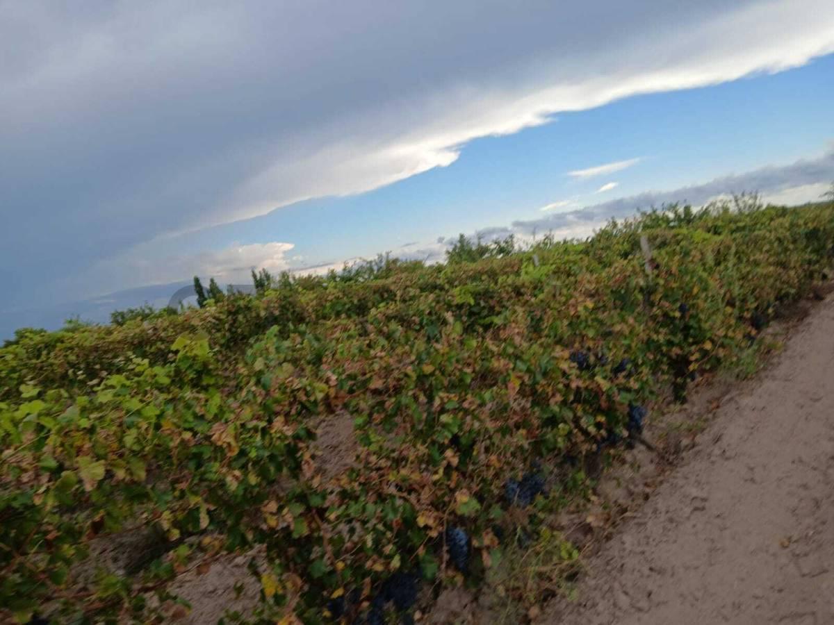 Foto de Venta Finca de 9 Has y 7661,72m2, en Ruta Nacional 143 s/N, Cañada, imagen 1