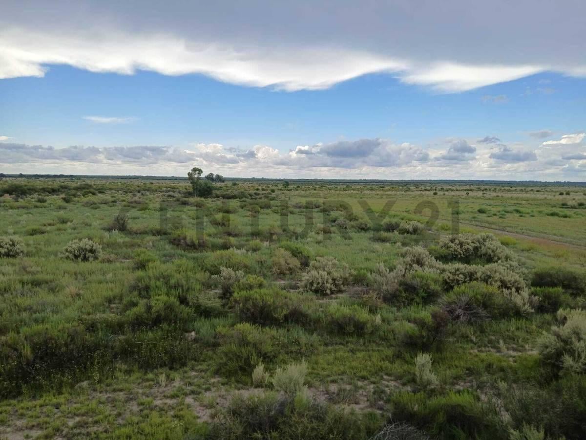 Foto de Venta Finca de 9 Has y 7661,72m2, en Ruta Nacional 143 s/N, Cañada, imagen 2