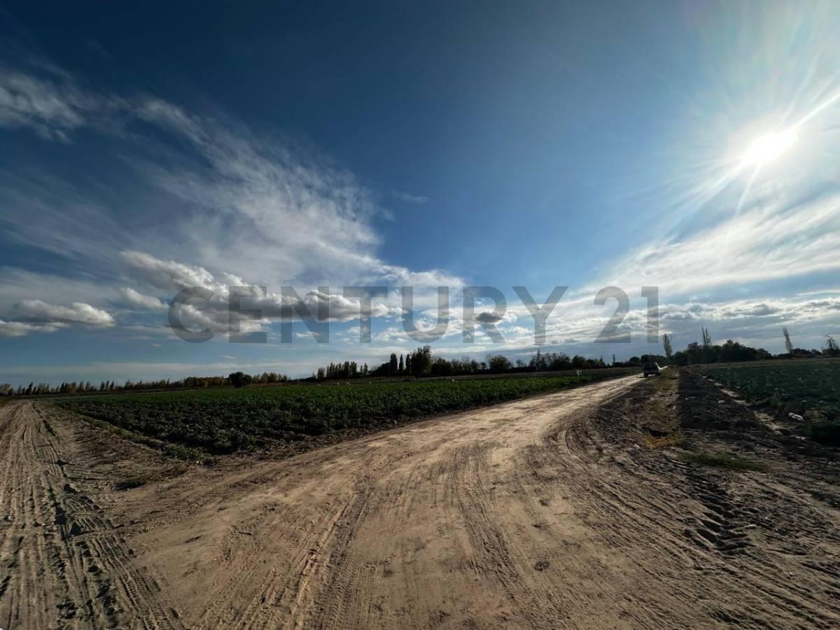 Foto de FINCA EN CHAPANAY SAN MARTIN, imagen 2
