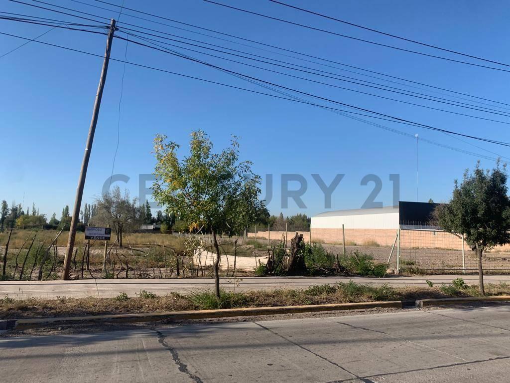 Foto de Terreno Industrial Rodriguez Peña, imagen 3