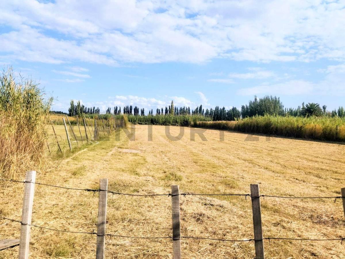 Foto de Se vede lote. Guaymallén. Corralitos, imagen 2