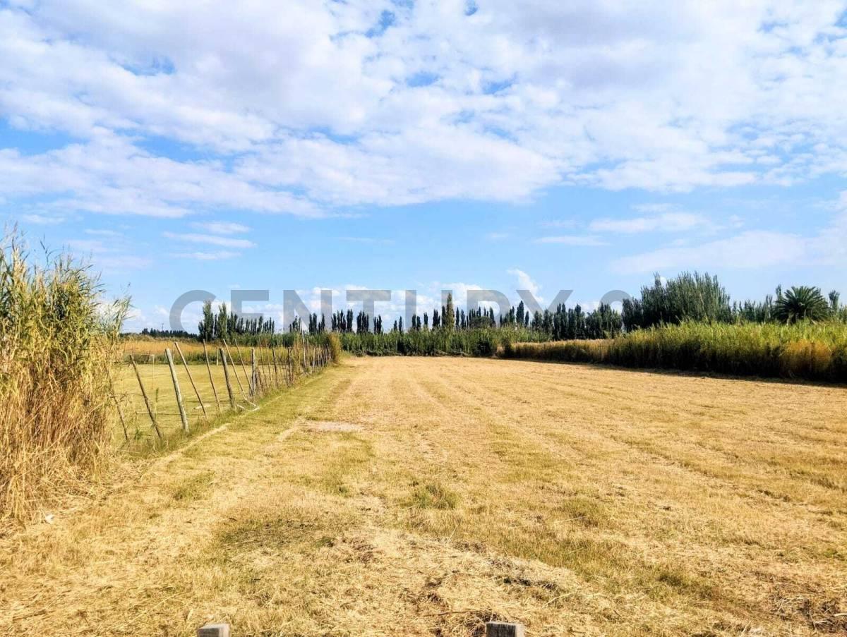 Foto de Se vede lote. Guaymallén. Corralitos, imagen 3