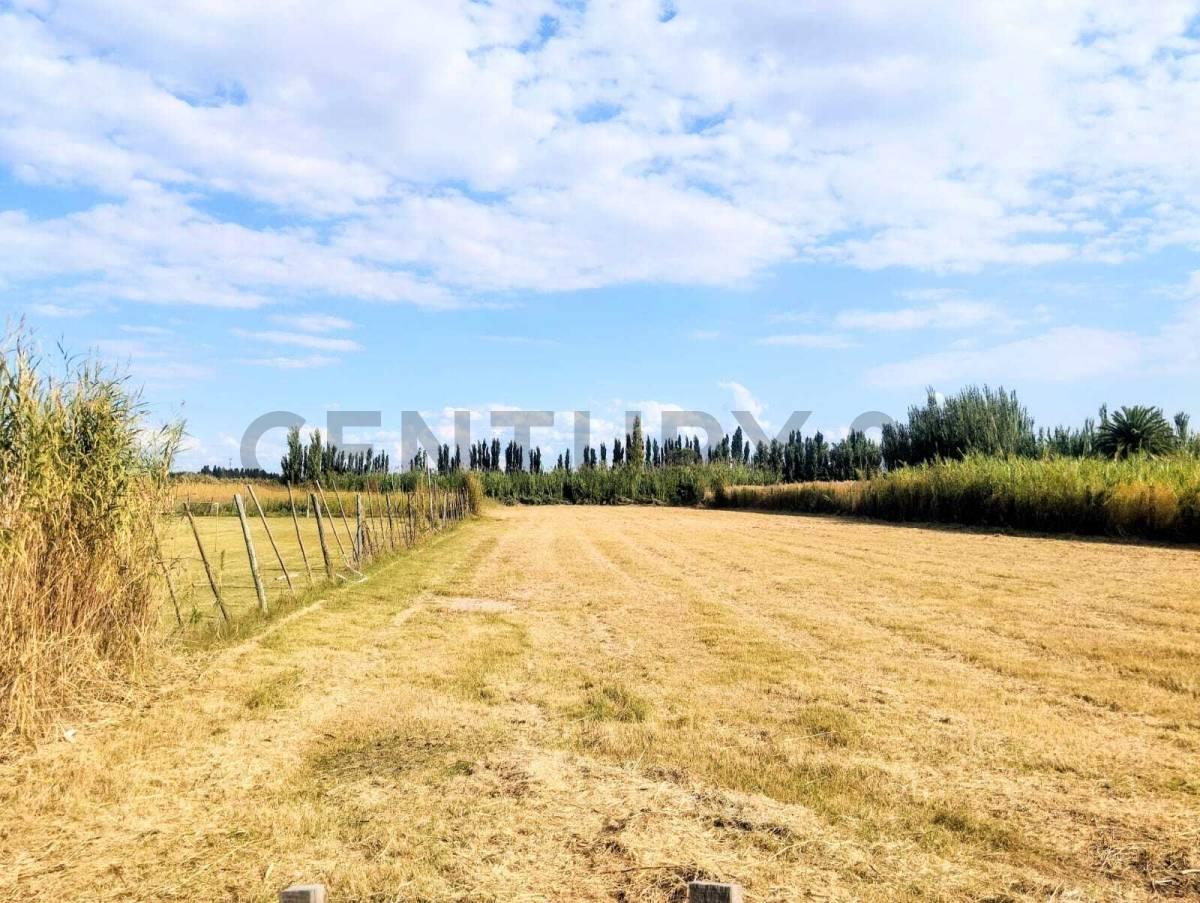 Foto de Se vede lote. Guaymallén. Corralitos, imagen 5