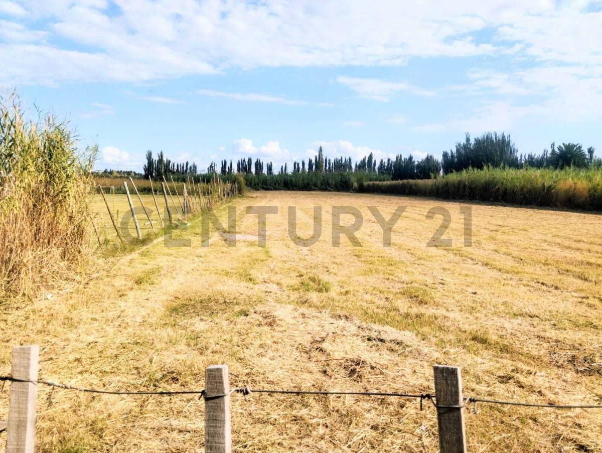 Foto de Se vede lote. Guaymallén. Corralitos, imagen 4