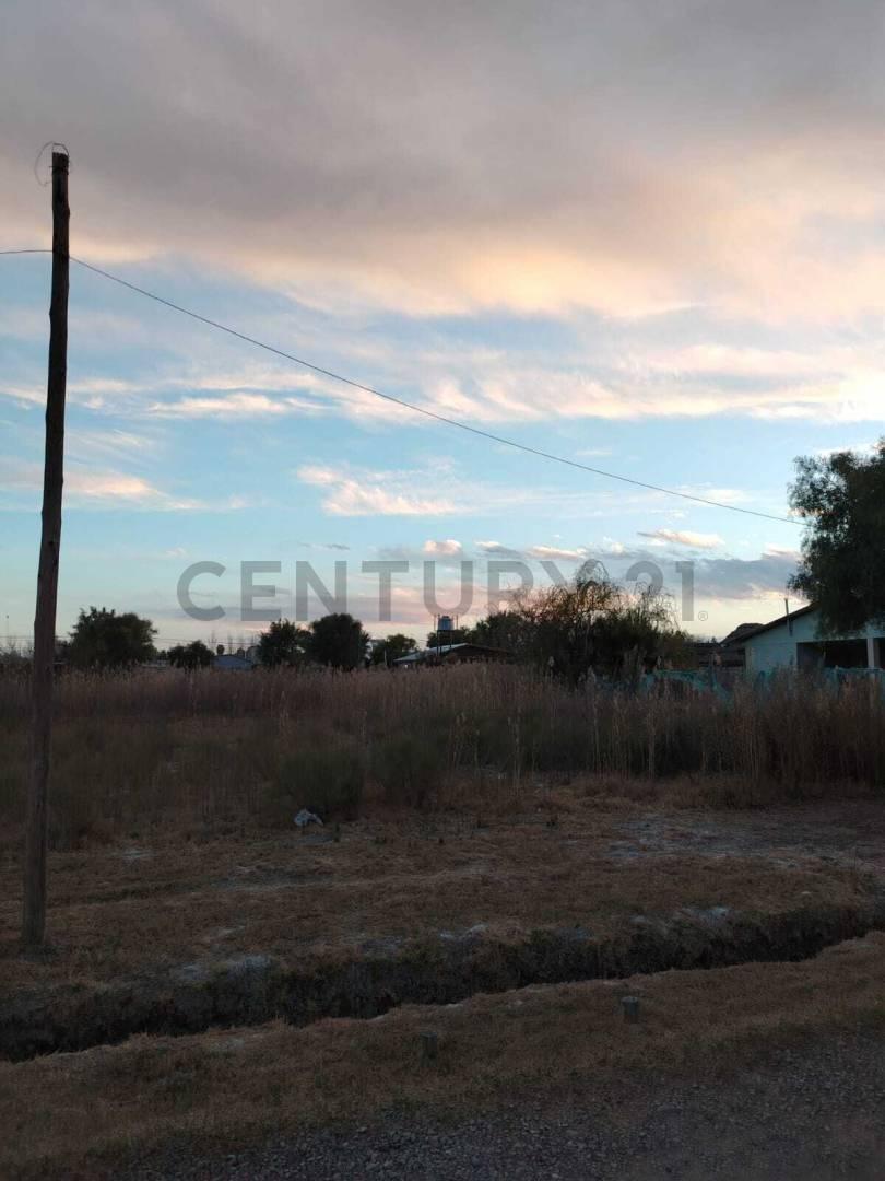 Foto de LOTE EN VENTA, BARRIO LAS ROSAS 5, LOS CORRALITOS, imagen 5