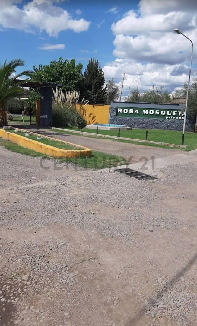 Foto de Lote B Privado Rosa Mosqueta, imagen 3