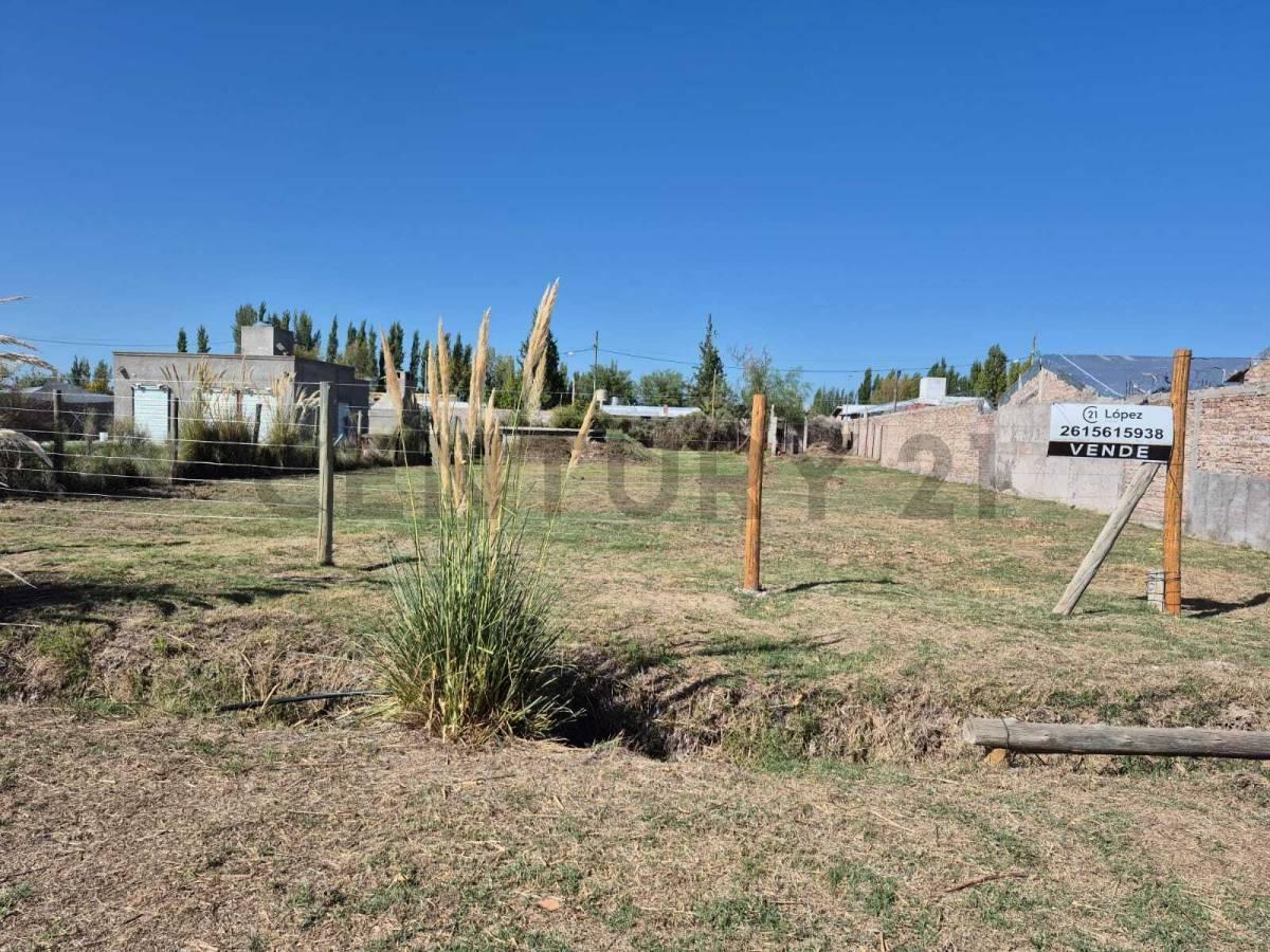 Foto de Venta lote en Corralitos, imagen 5