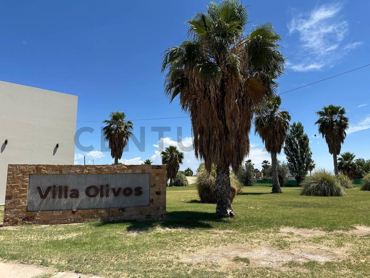 Foto de Terreno en VENTA barrio Villa Olivos Corralitos, imagen 4