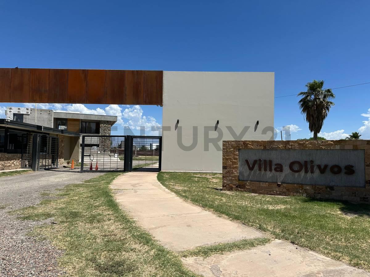 Foto de Terreno en VENTA barrio Villa Olivos Corralitos, imagen 3