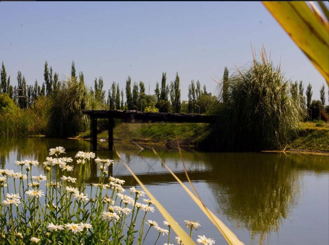 Foto de VENTA DE COMPLEJO TURISTICO CON FINANCIACION A 5 AÑOS, imagen 5
