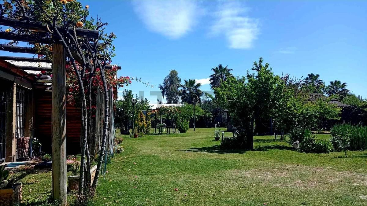 Foto de Quinta en venta en Rodeo del Medio – 2.200 m², piscina y amplio parque, imagen 4
