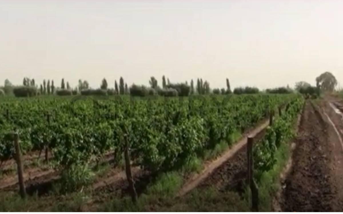 Foto de Finca con casco de estancia en Palmira, imagen 2