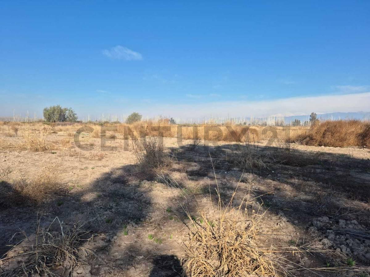 Foto de Venta de Finca en Lavalle, Tres de Mayo, sobre Ruta 36 entre Calle Rama, imagen 4