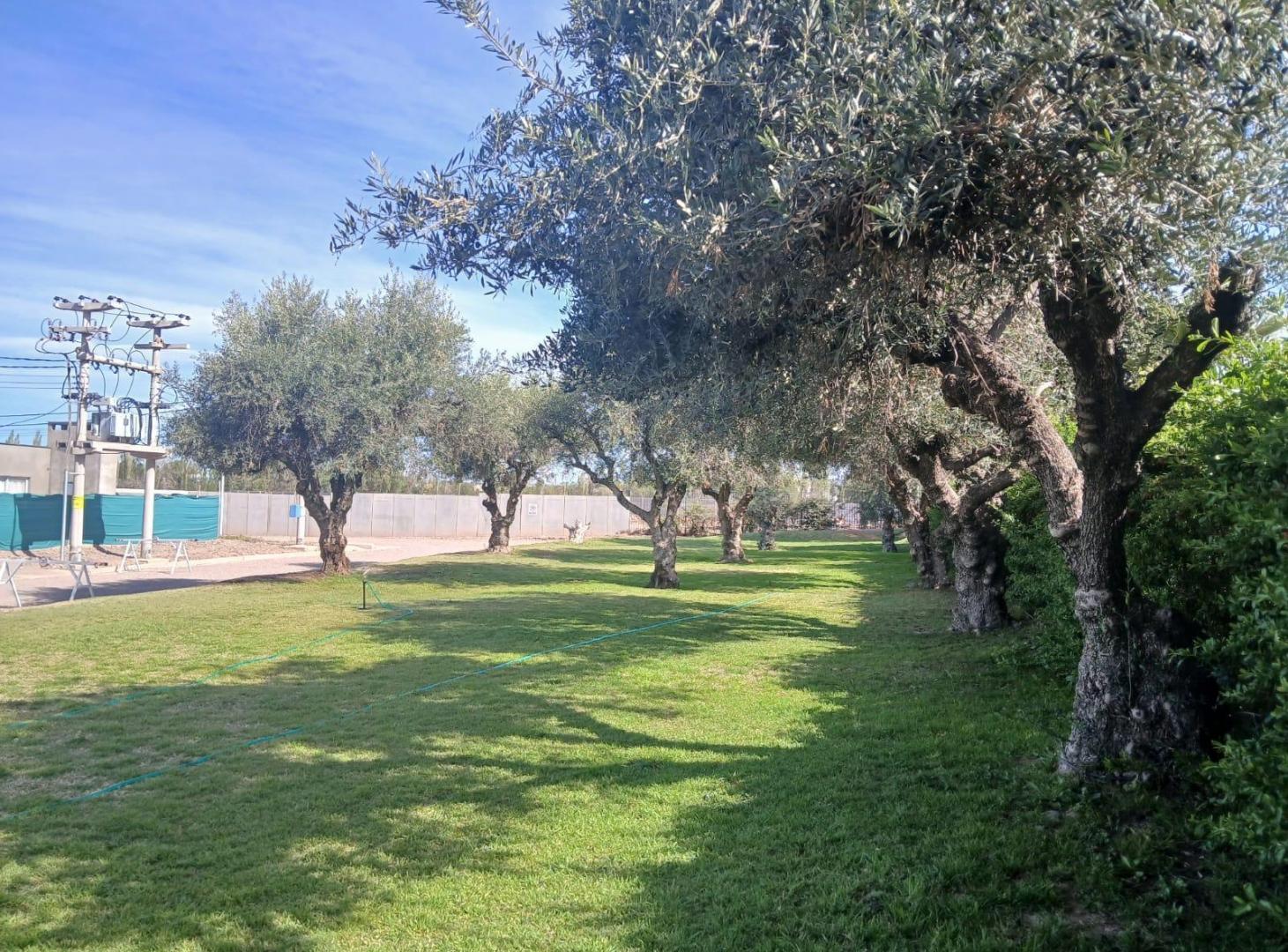 Foto de Terreno en venta en AMPROS V, imagen 5