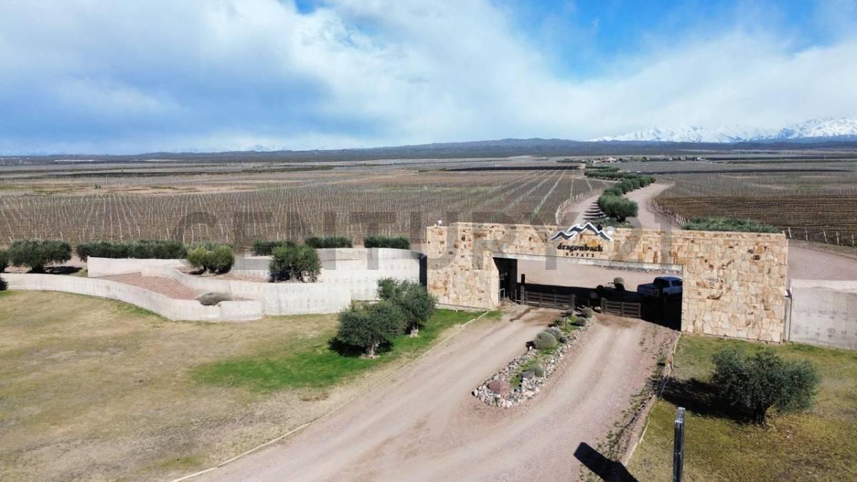 Venta Bodega Agrelo Lujan de Cuyo Mendoza