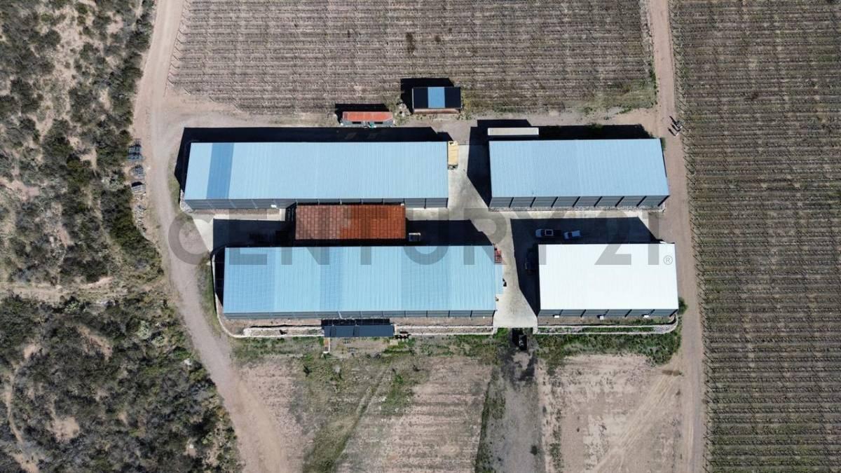Foto de Venta Bodega Agrelo Lujan de Cuyo Mendoza, imagen 2