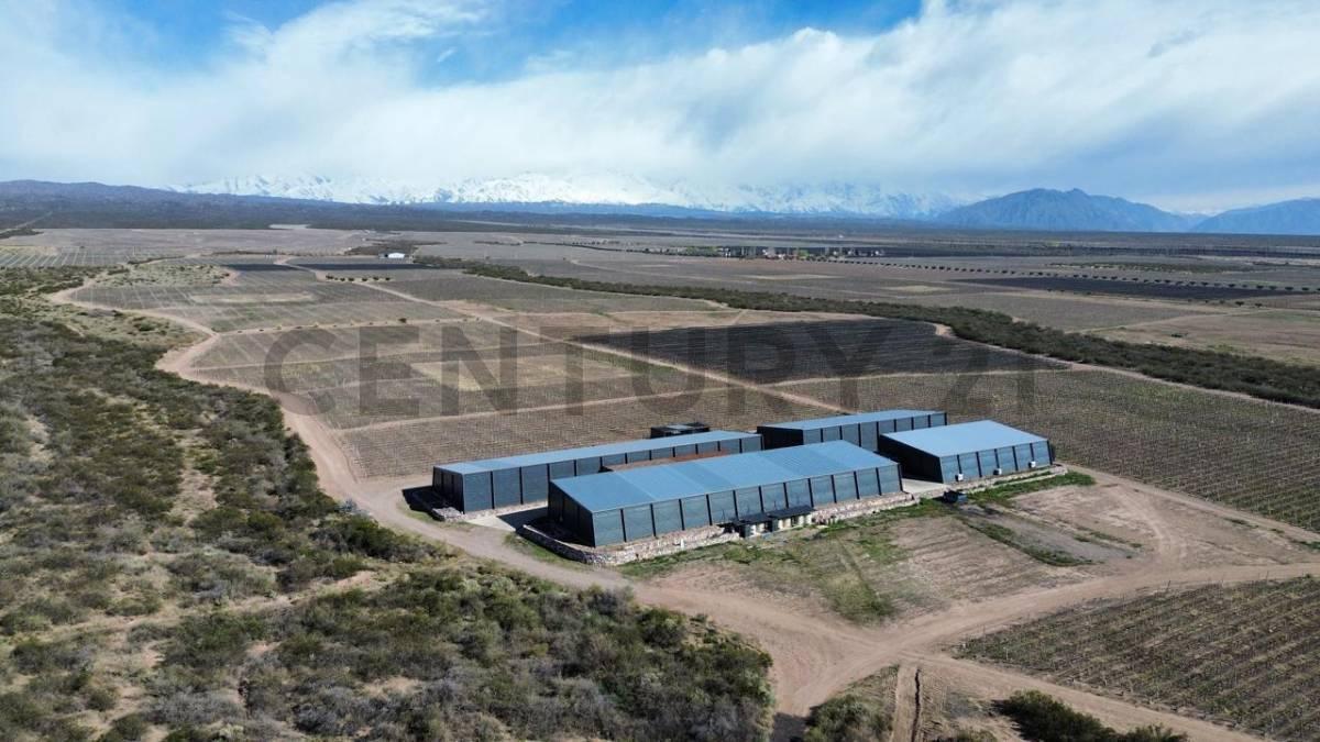 Foto de Venta Bodega Agrelo Lujan de Cuyo Mendoza, imagen 4