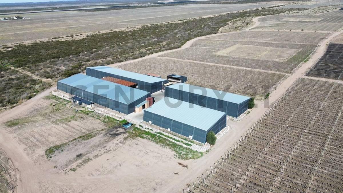Foto de Venta Bodega Agrelo Lujan de Cuyo Mendoza, imagen 3