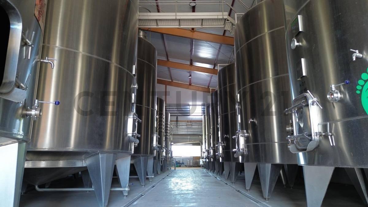 Foto de Bodega en Venta Lavalle Mendoza, imagen 5
