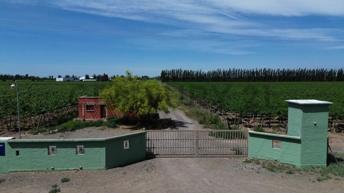 Foto de Bodega en Venta Lavalle Mendoza, imagen 1