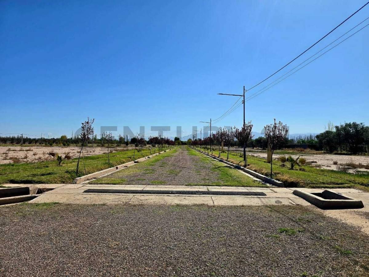 Foto de VENTA DE LOTE B° MISTERBIANCO - MAIPU, imagen 3