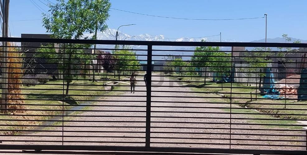 Foto de LOTE EN VENTA LUJAN DE CUYO, imagen 5