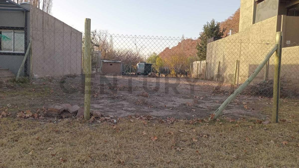 Foto de LOTE EN VENTA LUJAN DE CUYO, imagen 3