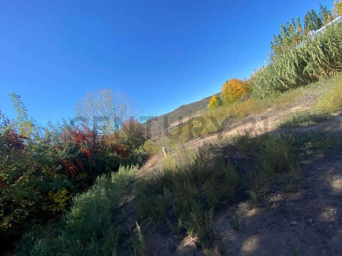 Foto de SE VENDE LOTE, PERDRIEL - LUJAN DE CUYO, imagen 2