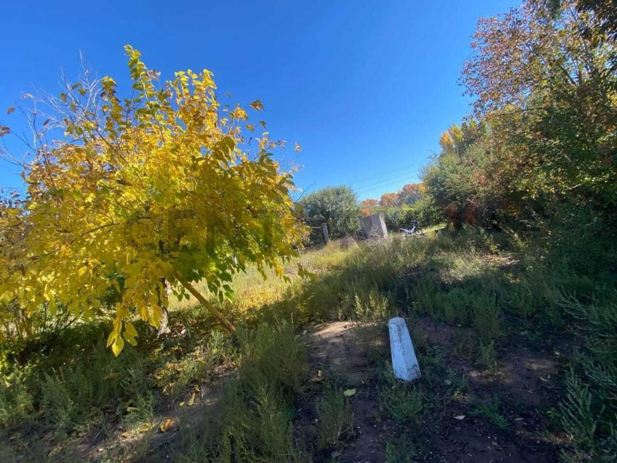 Foto de SE VENDE LOTE, PERDRIEL - LUJAN DE CUYO, imagen 3