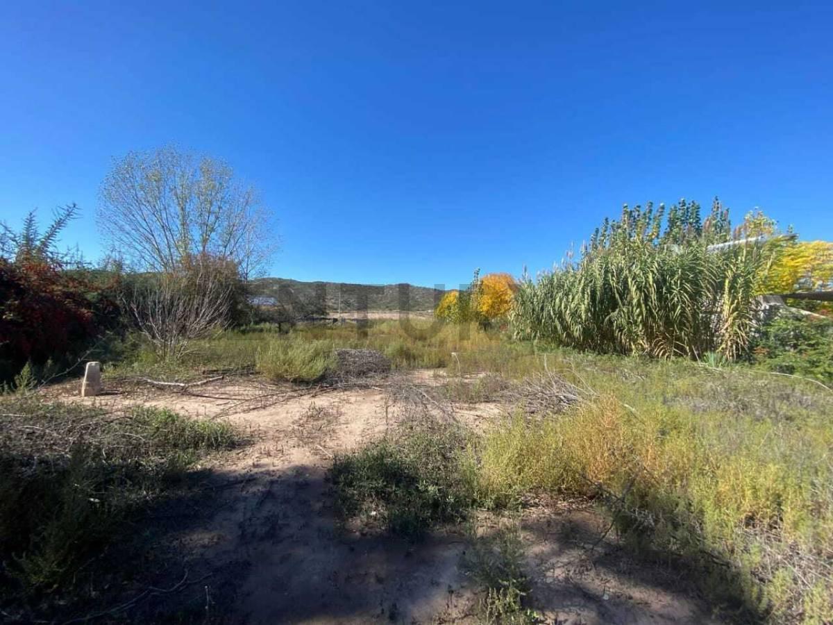 Foto de SE VENDE LOTE, PERDRIEL - LUJAN DE CUYO, imagen 4