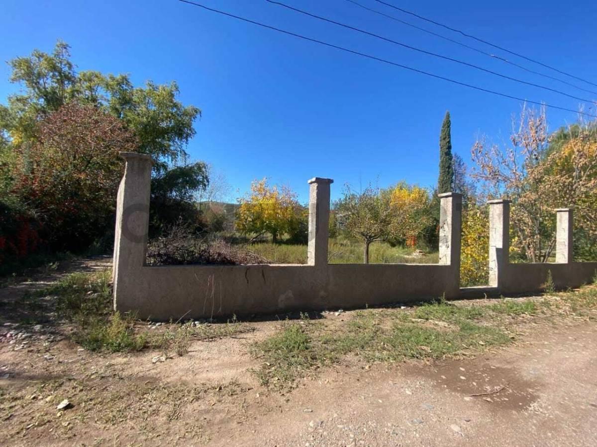 Foto de SE VENDE LOTE, PERDRIEL - LUJAN DE CUYO, imagen 1