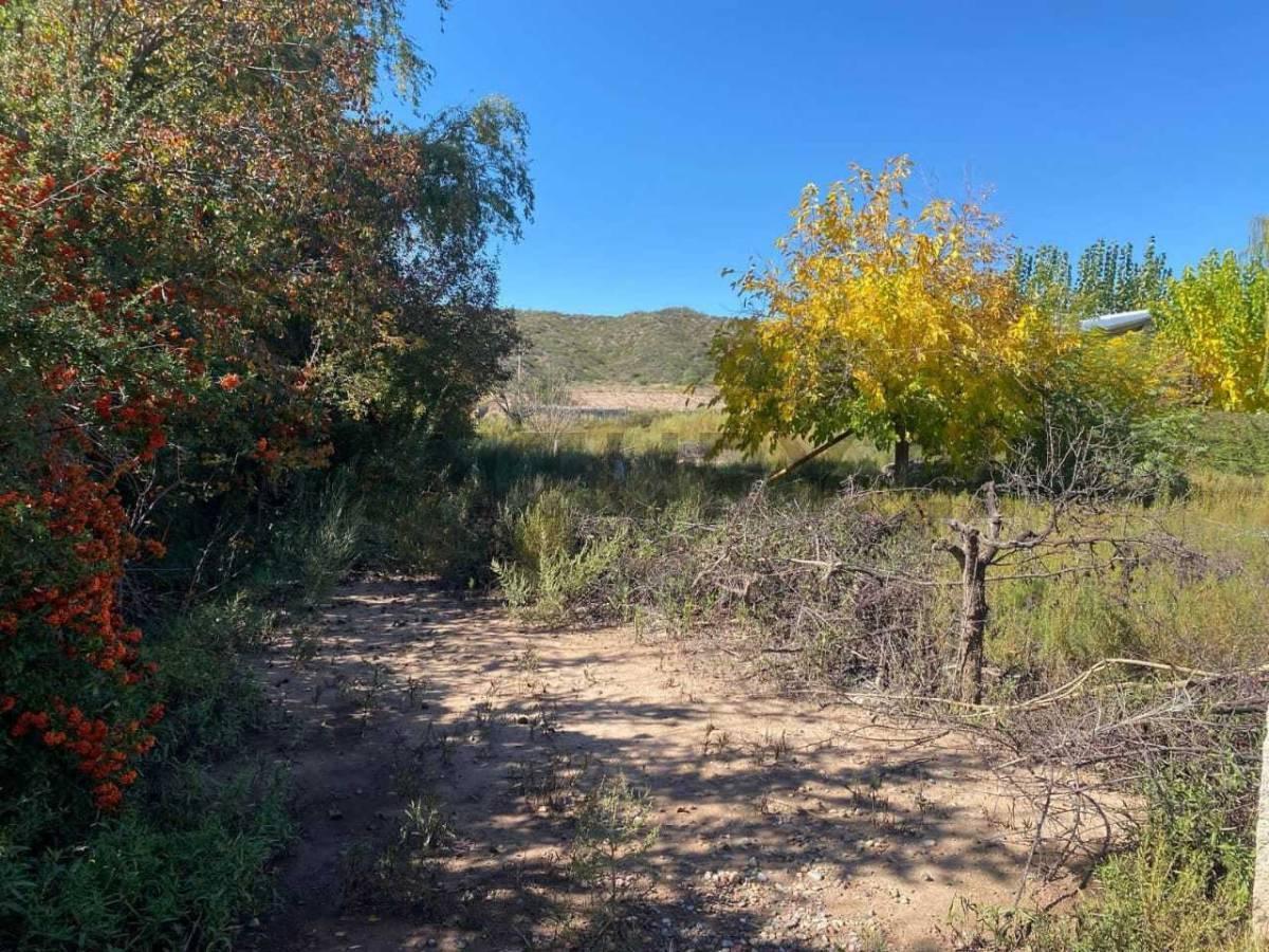 Foto de SE VENDE LOTE, PERDRIEL - LUJAN DE CUYO, imagen 5