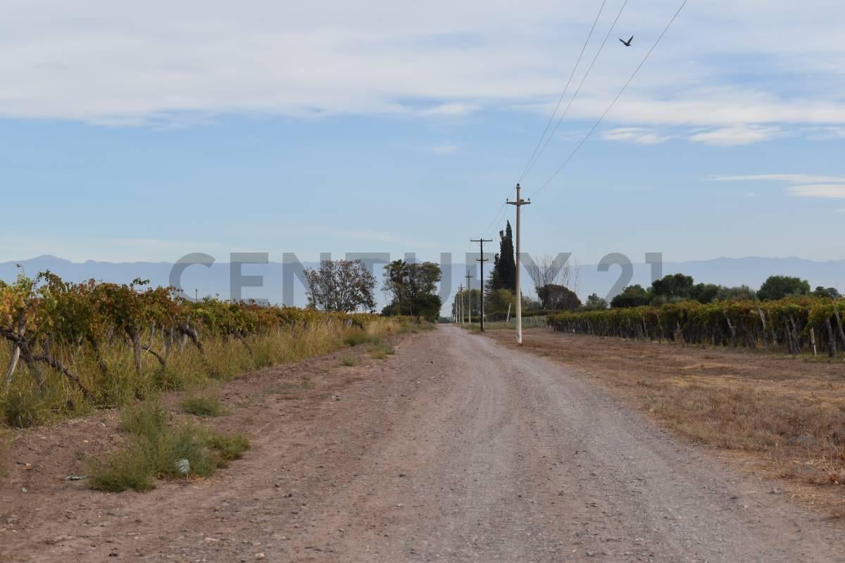 Foto de FINCA A LA VENTA SAN MARTIN, imagen 1