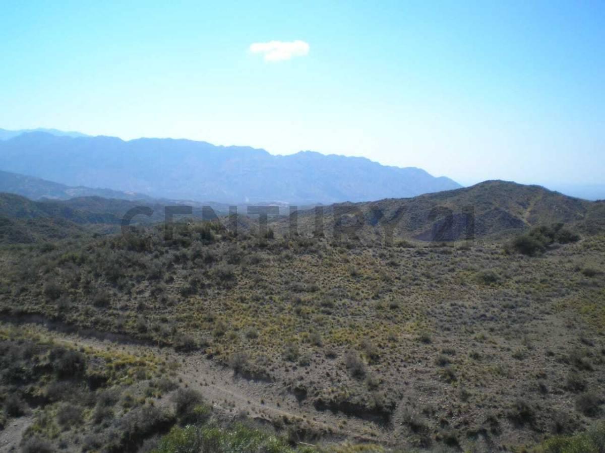 Foto de TERRENO EN VENTA 1 HA RUTA 7 S/N LUJAN DE CUYO, imagen 1