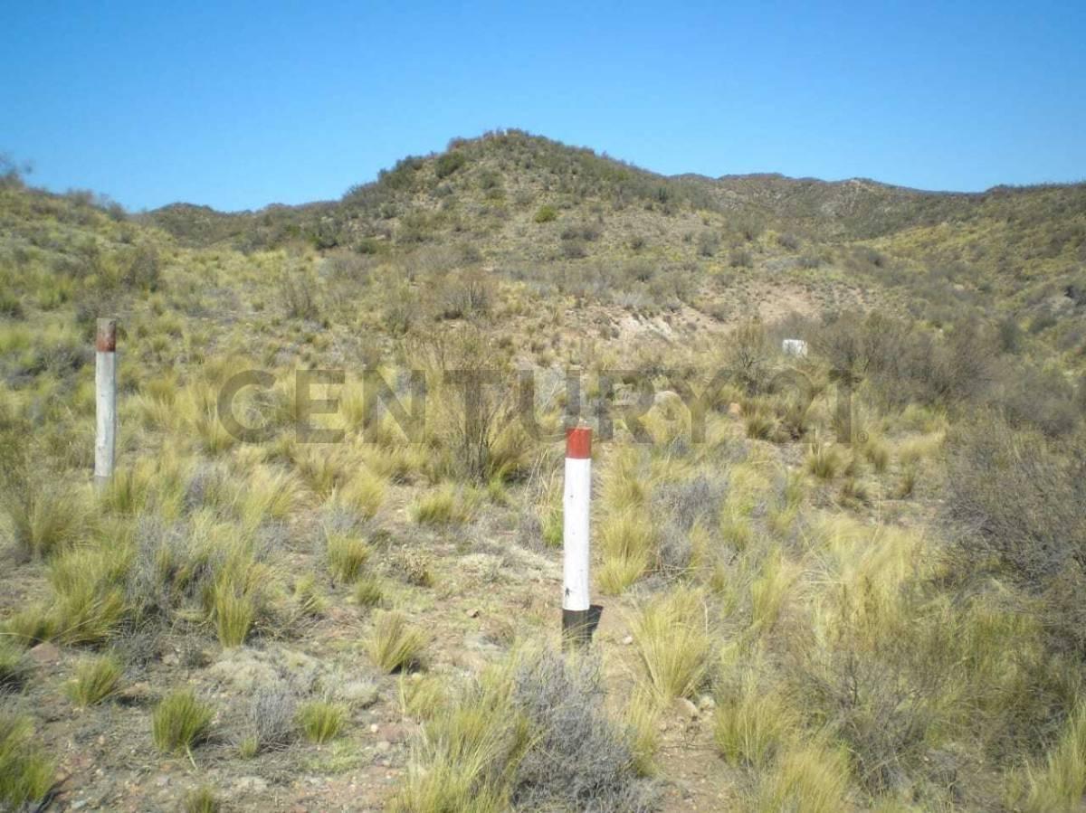 Foto de TERRENO EN VENTA 1 HA RUTA 7 S/N LUJAN DE CUYO, imagen 2