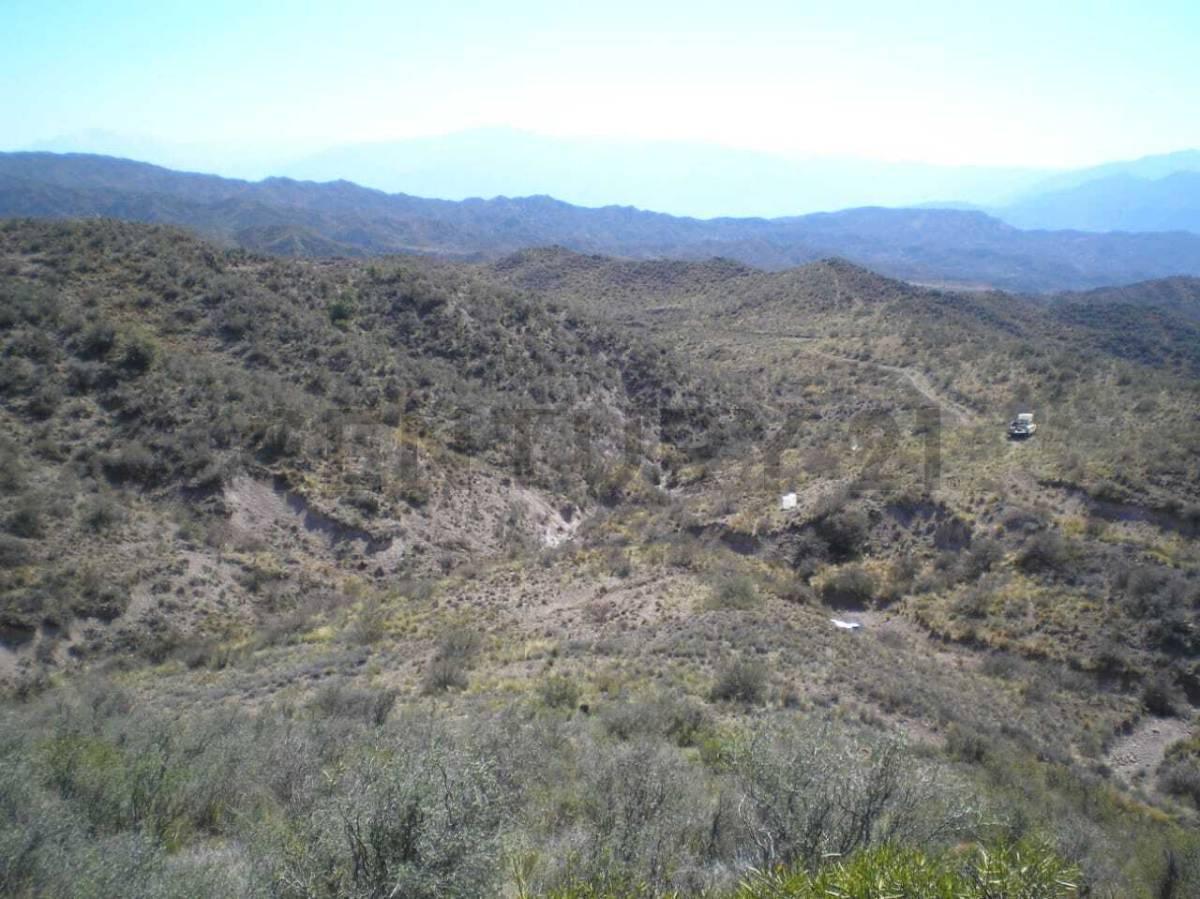 Foto de TERRENO EN VENTA 1 HA RUTA 7 S/N LUJAN DE CUYO, imagen 5