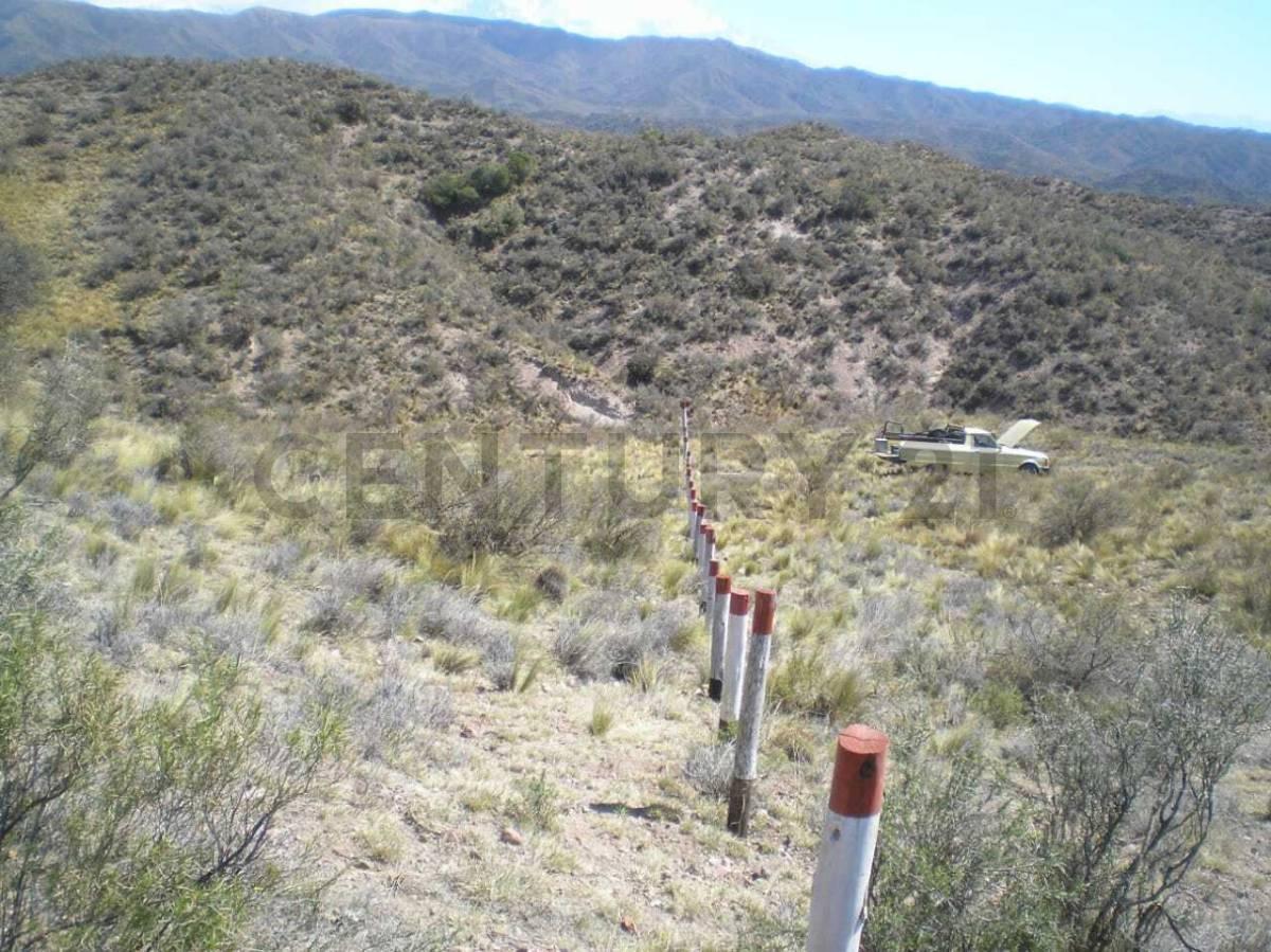 Foto de TERRENO EN VENTA 1 HA RUTA 7 S/N LUJAN DE CUYO, imagen 4