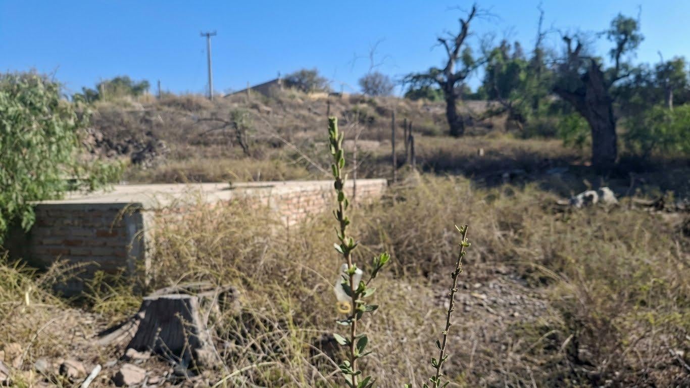 Foto de Terreno en venta en El Challao, imagen 4