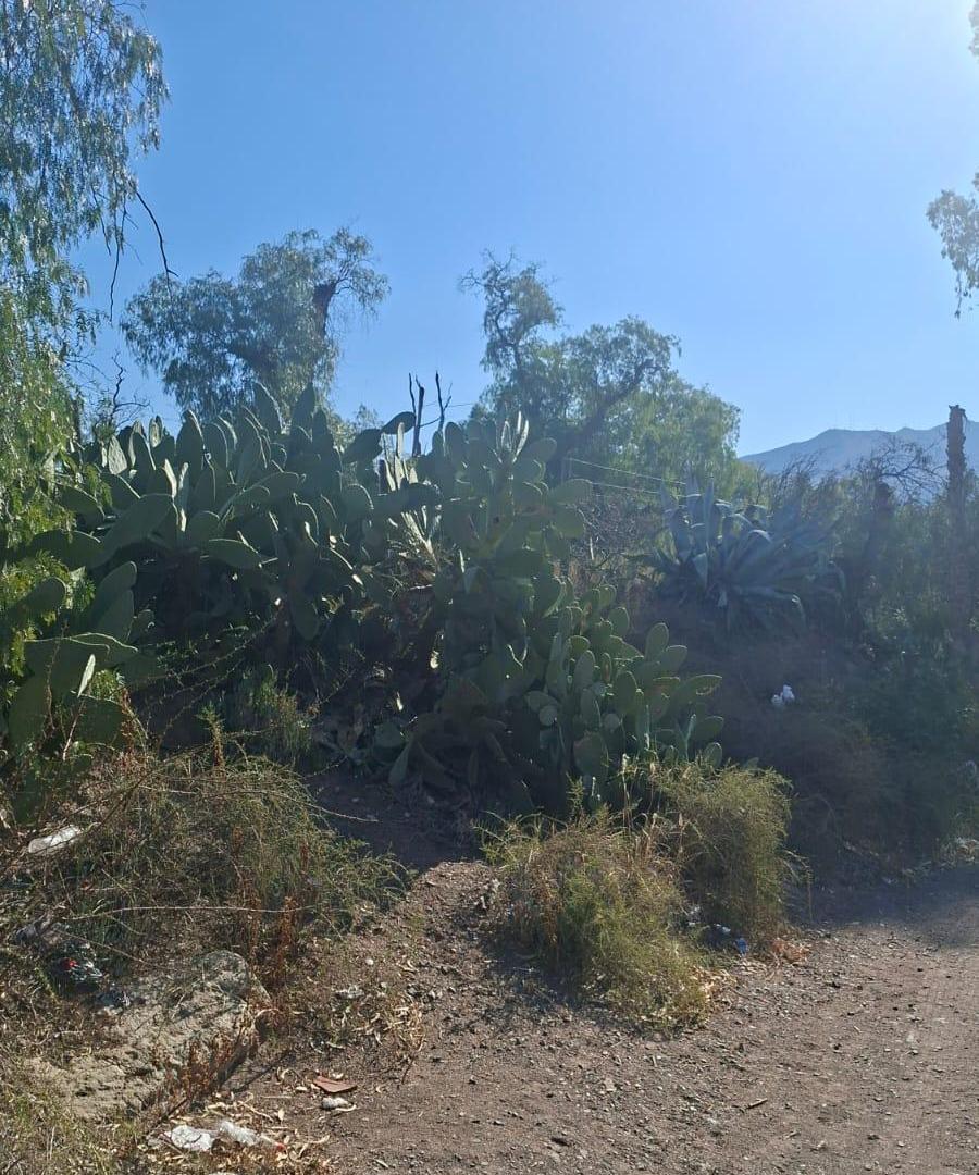 Foto de Terreno en venta en El Challao, imagen 2