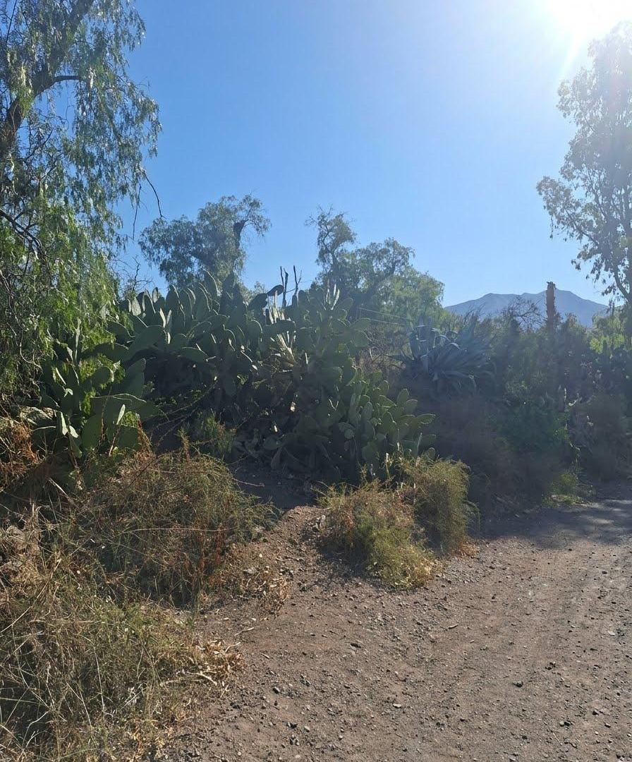 Foto de Terreno en venta en El Challao, imagen 5