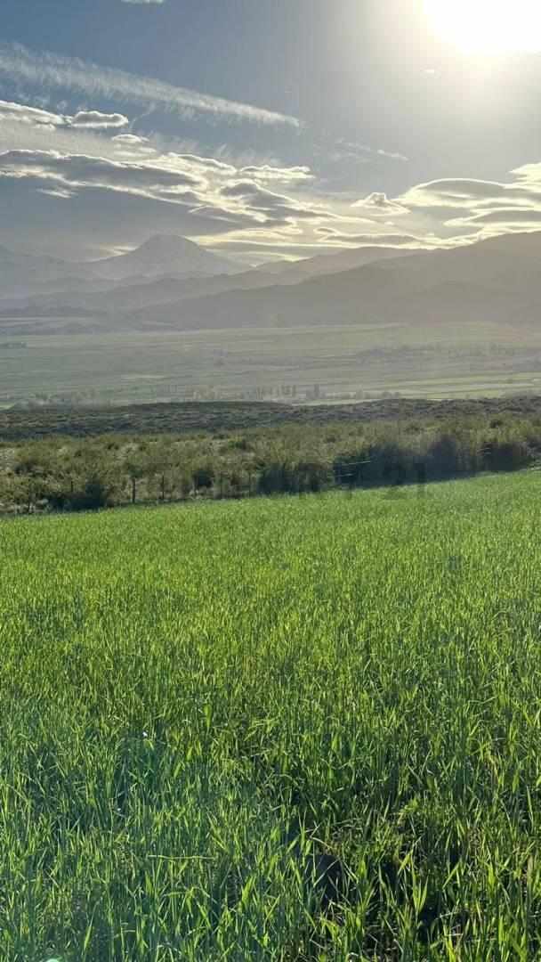 Foto de Century 21 López vende 3 propiedades en El Durazno, La Carrera, imagen 5