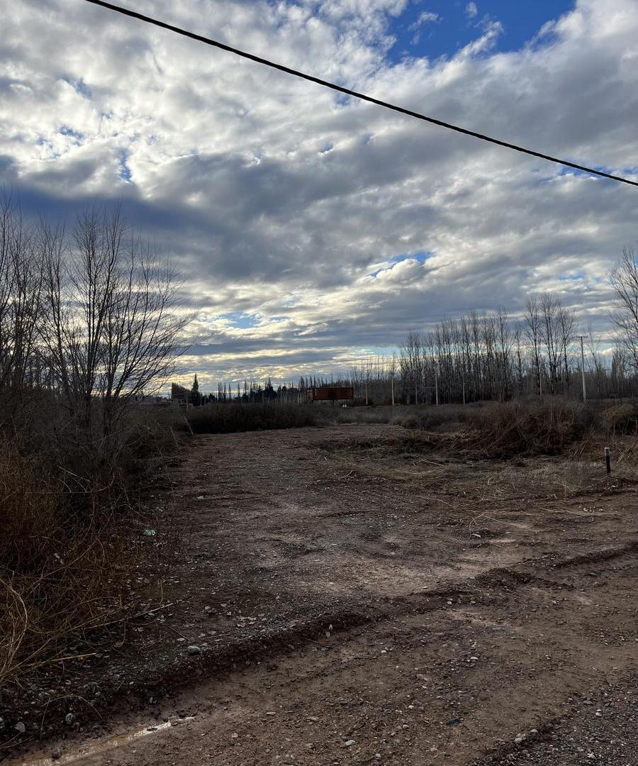 Foto de Venta Terreno Centenario, imagen 5