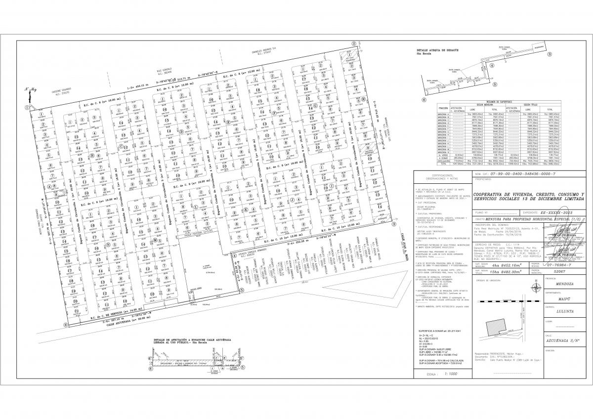 Plano 1
