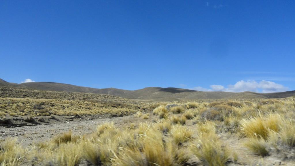 Campo en Venta en Pichileufu 1