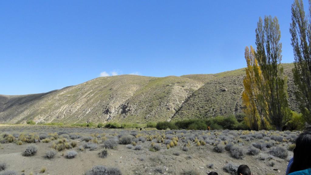 Campo en Venta en Pichileufu 5