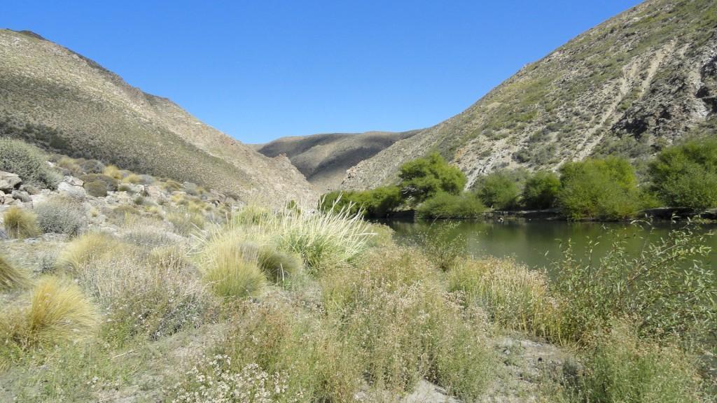 Campo en Venta en Pichileufu 4
