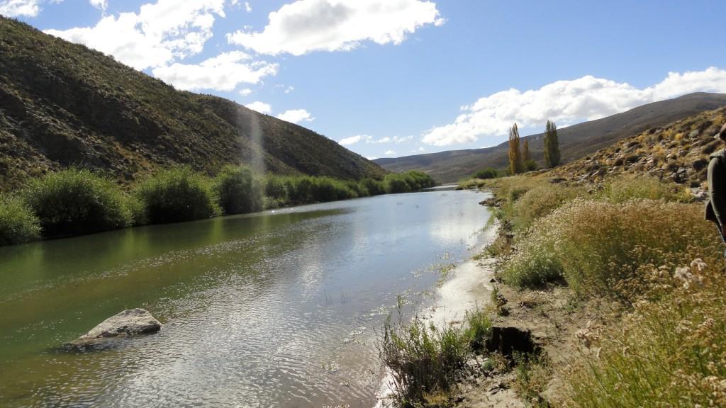 Campo en Venta en Pichileufu 3